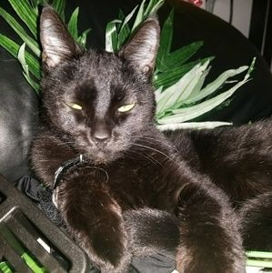 Meet your Posher, Alma